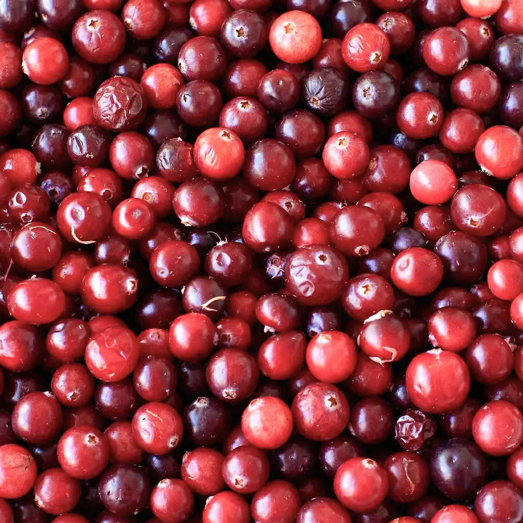 Cranberry