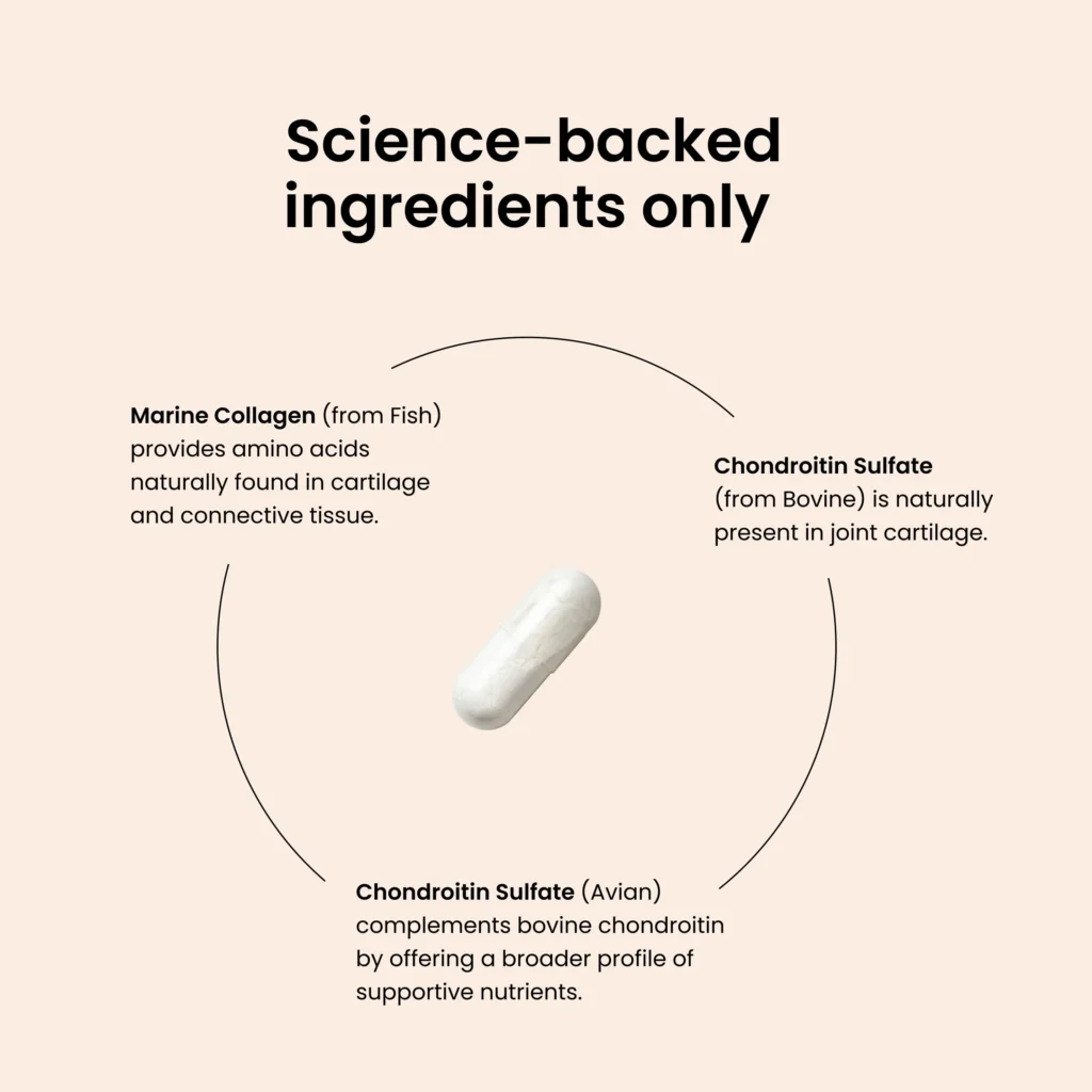 Joint Capsules - slika 3