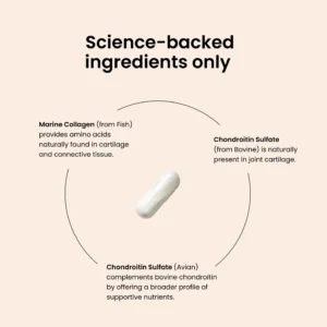 Joint Capsules - slika 3