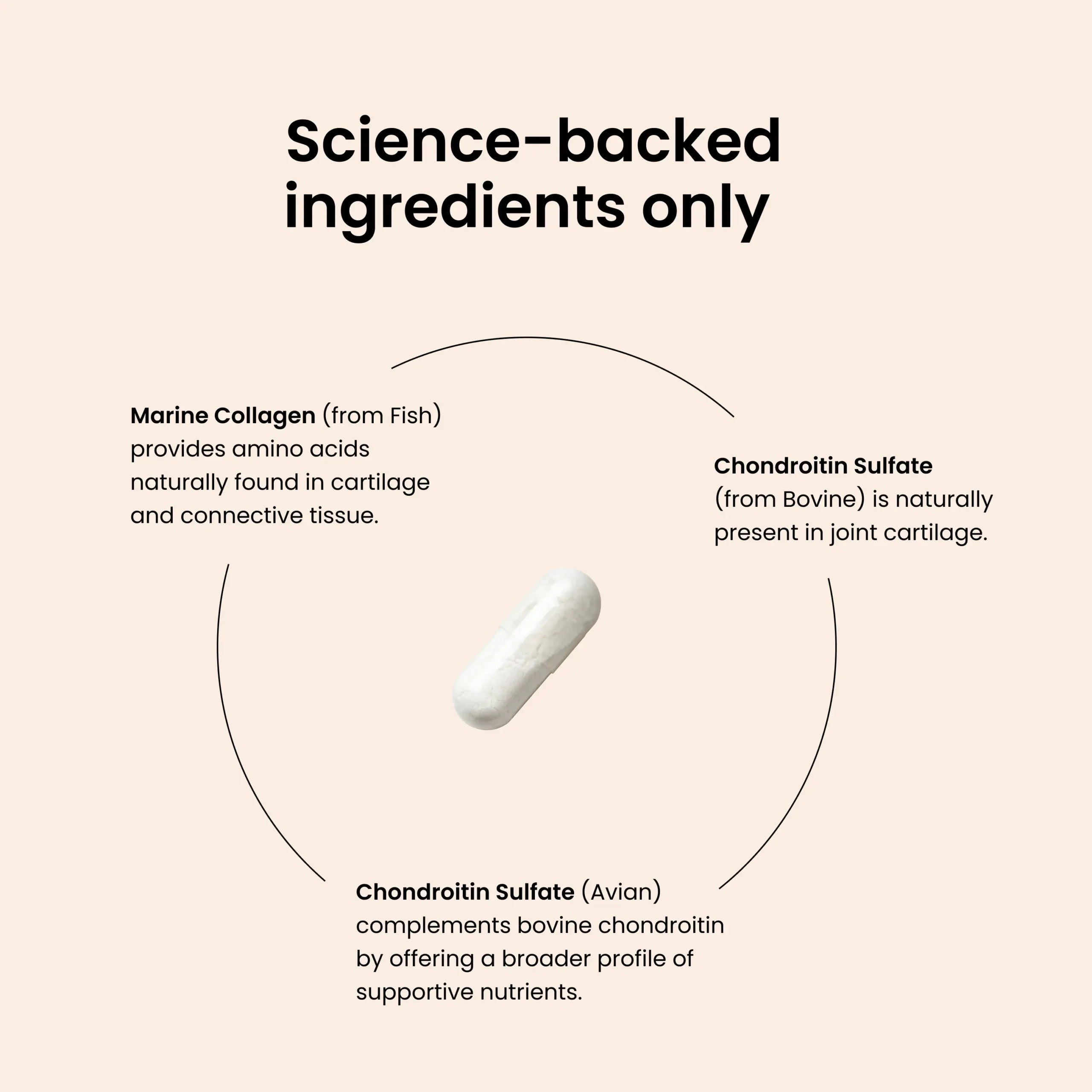 Joint Capsules - slika 3