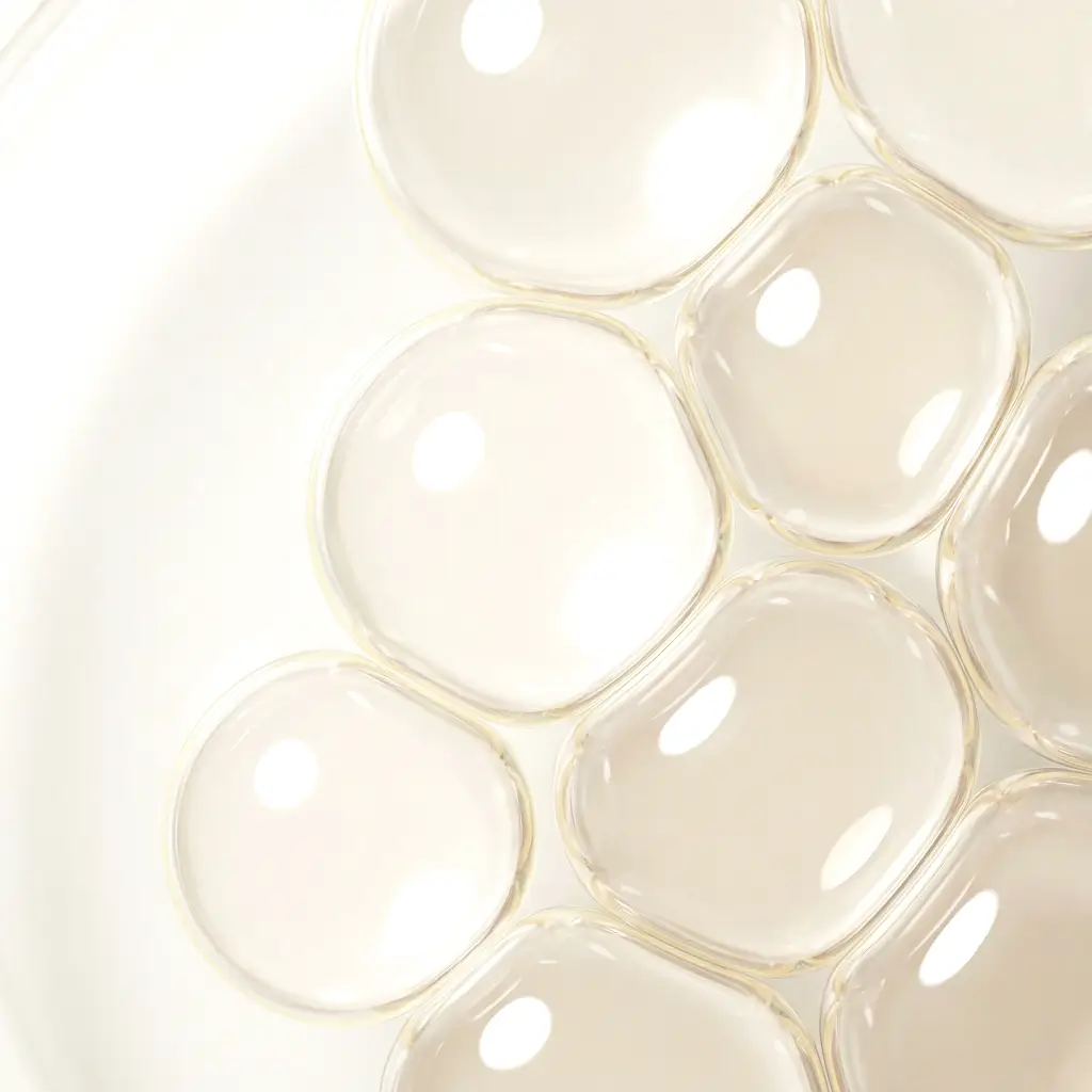 Timiline Macro Ingredient Texture (1)-2 1