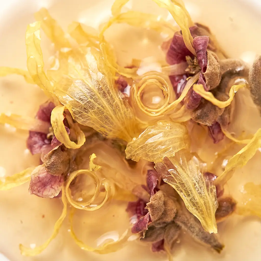 Witch Hazel Extract Macro Texture 1