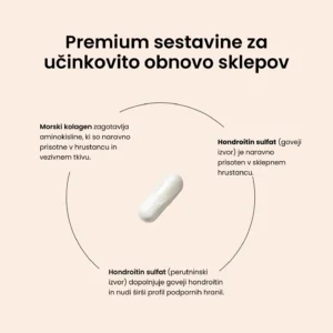 Joint Capsules - slika 3