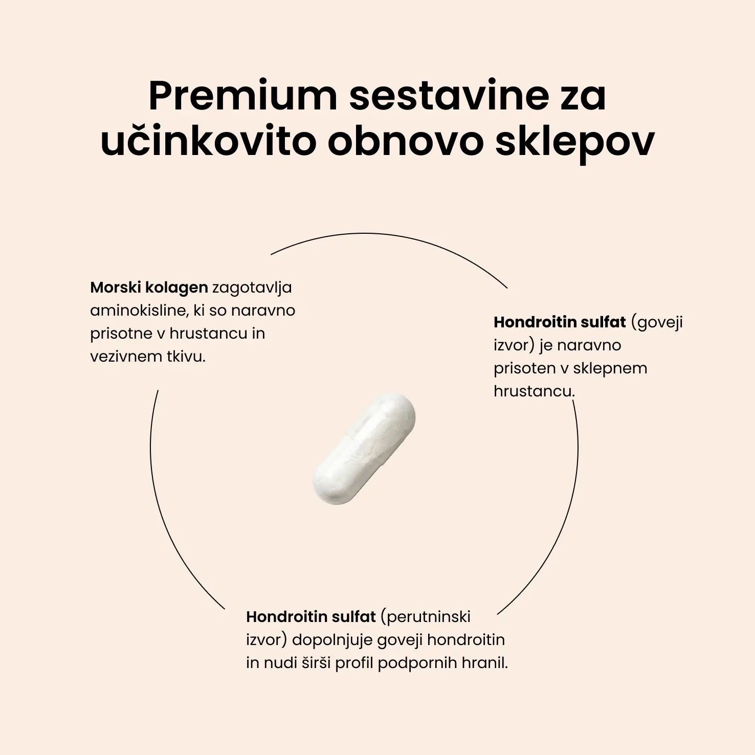 Joint Capsules - slika 3