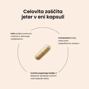 Liver Capsules - slika 3