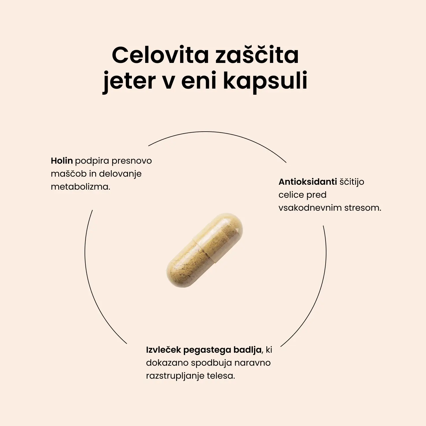Liver Capsules - slika 3