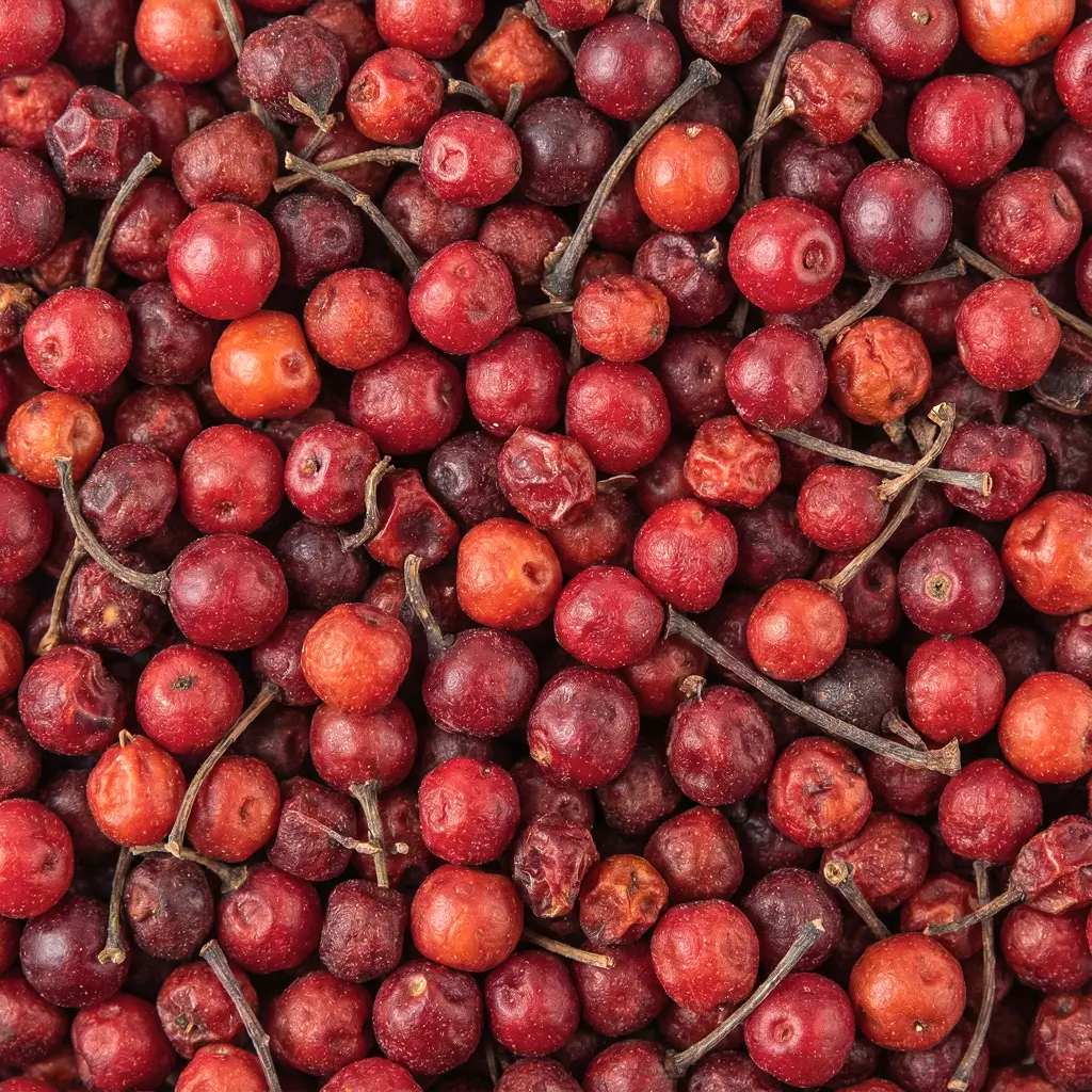 Schisandra Macro Texture 1